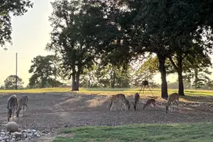 145 Private Rd 7004, Frankston, TX 75763 - Photo 25