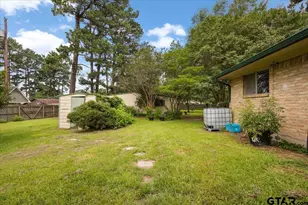 1009 Caprice Dr, Grand Saline, TX 75140 - Photo 23