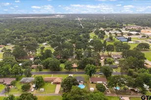 1009 Caprice Dr, Grand Saline, TX 75140 - Photo 31