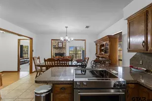 10698 N Cr 173, Overton, TX 75684 - Photo 9