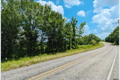 Tbd 133+/- Acres County Road 4701, Ben Wheeler, TX 75754 - Photo 17