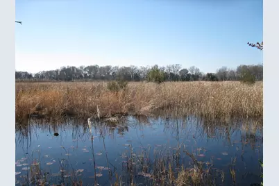 Tbd 133+/- Acres County Road 4701, Ben Wheeler, TX 75754 - Photo 3