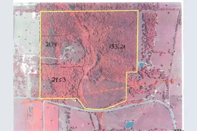Tbd 133+/- Acres County Road 4701, Ben Wheeler, TX 75754 - Photo 1
