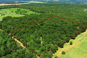 Tbd Cr 3613, Murchison, TX 75778 - Photo 1
