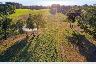 21618 Mixon Rd., Troup, TX 75789 - Photo 11