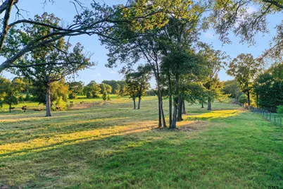 21618 Mixon Rd., Troup, TX 75789 - Photo 33