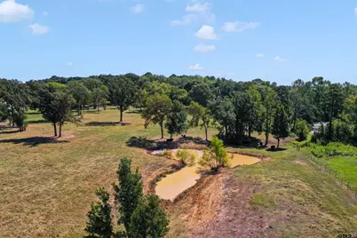 21618 Mixon Rd., Troup, TX 75789 - Photo 7