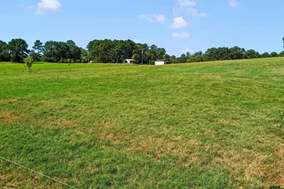 21618 Mixon Rd., Troup, TX 75789 - Photo 5