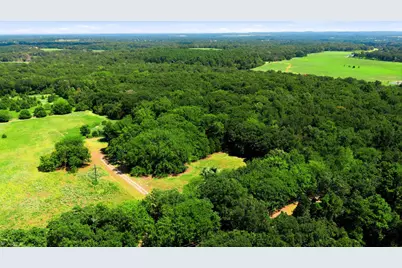 8418 Cr 3613, Murchison, TX 75778 - Photo 23