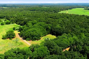 8418 Co Rd 3613, Murchison, TX 75778 - Photo 23