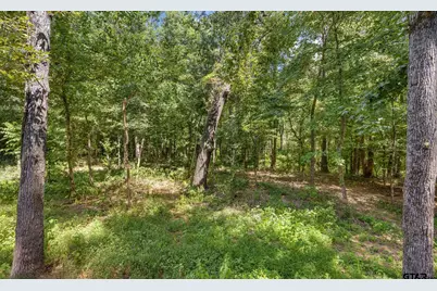 18655 Quiet Anchor Lane, Flint, TX 75762 - Photo 43