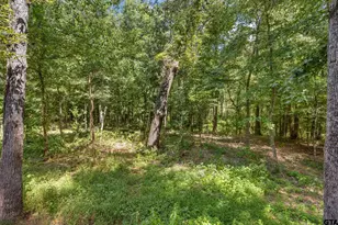 18655 Quiet Anchor Ln, Flint, TX 75762 - Photo 43