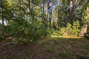 1219 Horseshoe Dr, Hideaway, TX 75771 - Photo 29