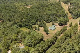 8549 FM 2064, Troup, TX 75789 - Photo 43