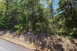 Tbd Cr 3104, Jacksonville, TX 75766 - Photo 1