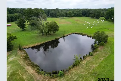 1509 County Road 3170, Quitman, TX 75783 - Photo 17