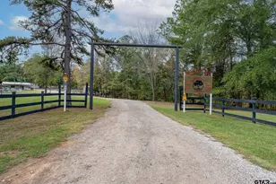 901 Vz County Road 4914, Ben Wheeler, TX 75754 - Photo 1