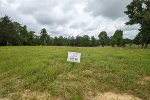 16832 Ridgeline Loop, Winona, TX 75792 - Photo 1