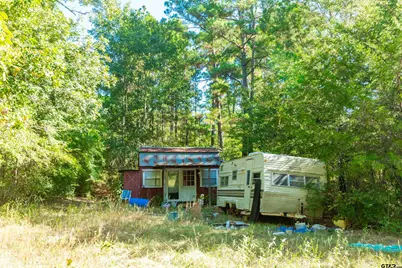 241 Cr 4824, Ben Wheeler, TX 75754 - Photo 5