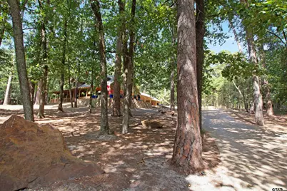 333 Dogwood Trl, Holly Lake Ranch, TX 75765 - Photo 11