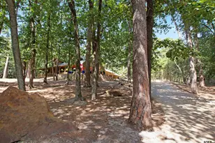 333 Dogwood Trail, Holly Lake Ranch, TX 75765 - Photo 11