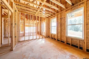 12312 Oak Grove, Tyler, TX 75706 - Photo 15