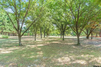 540 Vzcr 3207, Wills Point, TX 75169 - Photo 37