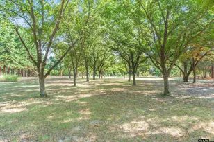 540 Vzcr 3207, Wills Point, TX 75169 - Photo 37