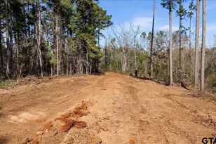 Tbd Hwy 135, Troup, TX 75789 - Photo 1