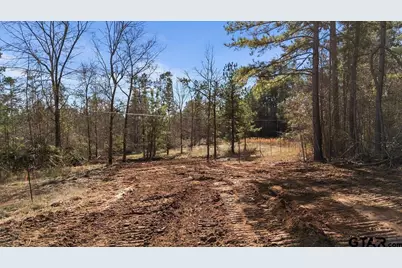 Tbd Highway 135, Troup, TX 75789 - Photo 3