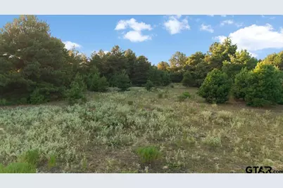0 Fm 314, Brownsboro, TX 75756 - Photo 7