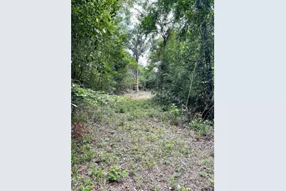 Tbd County Road 1147, Tyler, TX 75704 - Photo 1