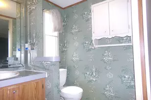 16761 Lakeview Creek, Whitehouse, TX 75791 - Photo 11