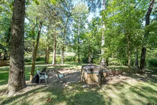 20616 E Grove Club Lake Rd, Whitehouse, TX 75791 - Photo 29