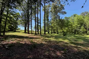 10196 Cr 3202, Chandler, TX 75758 - Photo 5