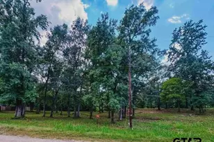 437 Co Rd 3608, Bullard, TX 75757 - Photo 1