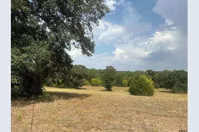 Tbd 3520 Tract 1, Brownsboro, TX 75756 - Photo 5