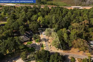 1715 Leisure Ln, Hideaway, TX 75771 - Photo 43
