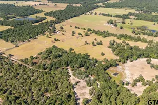 1000 An County Road 1208, Grapeland, TX 75844 - Photo 43
