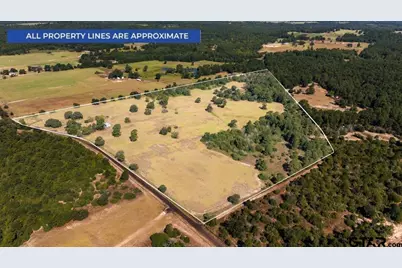 1000 An County Road 1208, Grapeland, TX 75844 - Photo 3