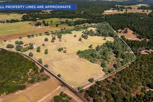 1000 An County Road 1208, Grapeland, TX 75844 - Photo 3