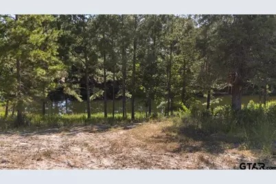 1000 An County Road 1208, Grapeland, TX 75844 - Photo 39