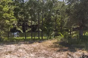 1000 An County Road 1208, Grapeland, TX 75844 - Photo 39