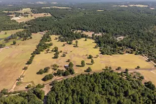 1000 An County Road 1208, Grapeland, TX 75844 - Photo 45
