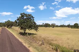1000 An County Road 1208, Grapeland, TX 75844 - Photo 35