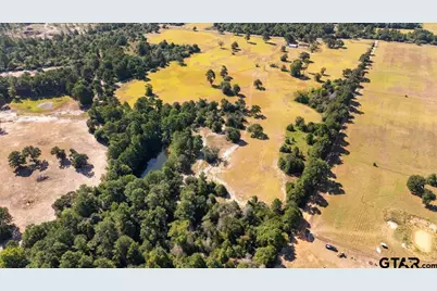1000 An County Road 1208, Grapeland, TX 75844 - Photo 1