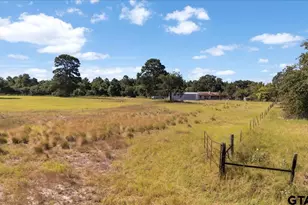 1000 An County Road 1208, Grapeland, TX 75844 - Photo 37