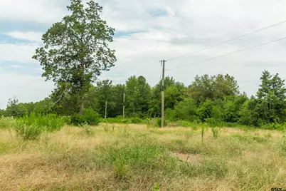 2450 Red Maple Rd, Big Sandy, TX 75755 - Photo 13