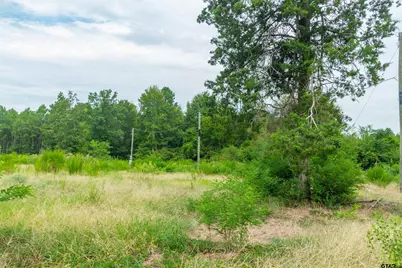 2450 Red Maple Rd, Big Sandy, TX 75755 - Photo 11