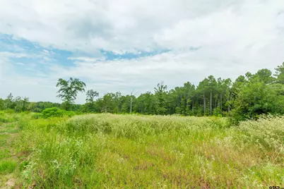 2450 Red Maple Rd, Big Sandy, TX 75755 - Photo 9